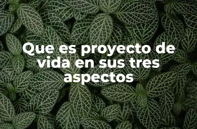 Que es Proyecto de Vida en Sus Tres Aspectos