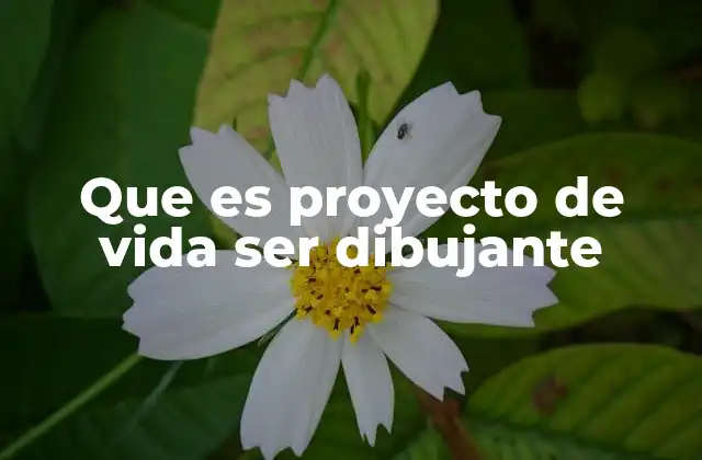 Que es Proyecto de Vida Ser Dibujante
