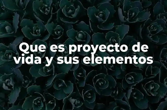 Que es Proyecto de Vida y Sus Elementos