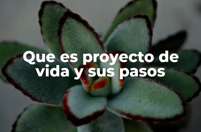 Que es Proyecto de Vida y Sus Pasos
