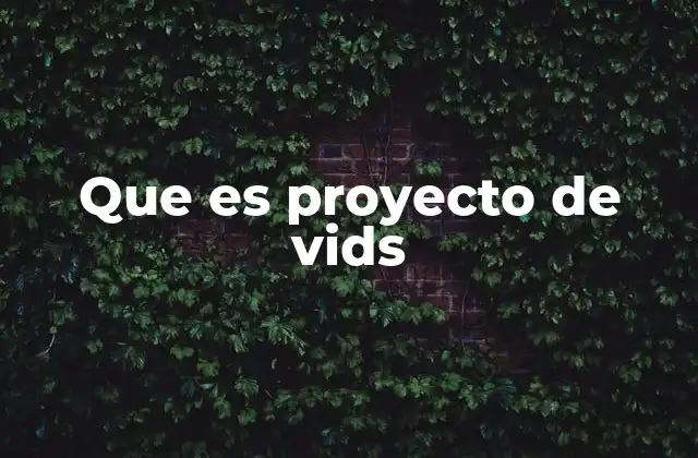 Que es Proyecto de Vids 2 Las claves para crear un proyecto de Vids exitoso