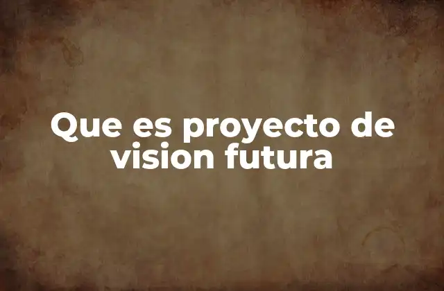Que es Proyecto de Vision Futura