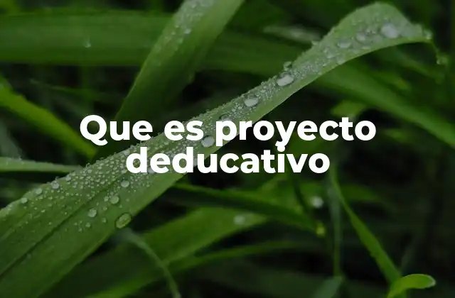 Que es Proyecto Deducativo