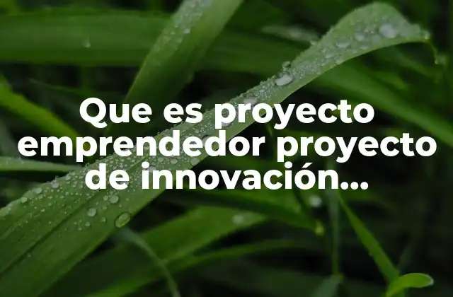 Que es Proyecto Emprendedor Proyecto de Innovación Tecnologica