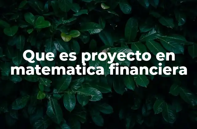 Que es Proyecto en Matematica Financiera