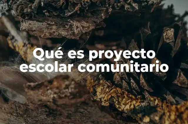 El impacto de los proyectos escolares en el entorno local