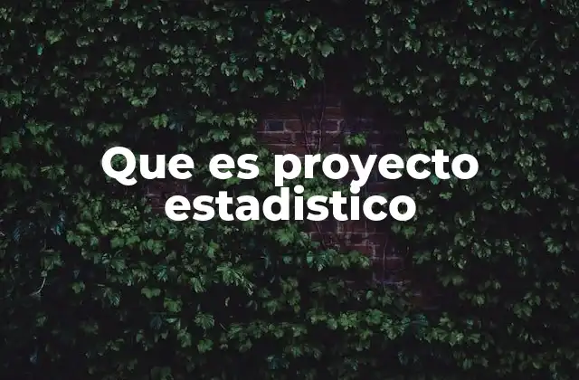 Que es Proyecto Estadistico