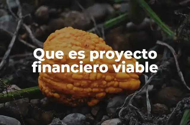Factores clave para determinar la viabilidad de un proyecto