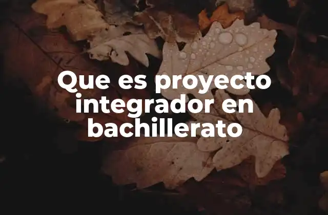 Que es Proyecto Integrador en Bachillerato