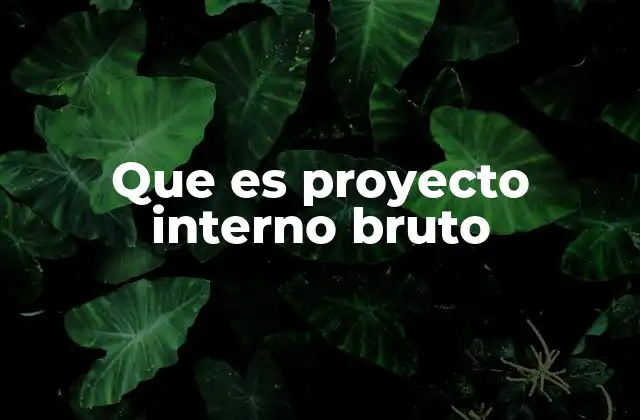 Que es Proyecto Interno Bruto