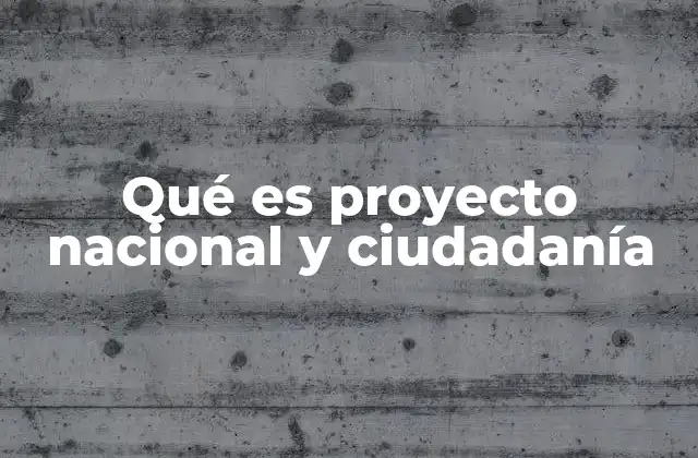 Qué es Proyecto Nacional y Ciudadanía