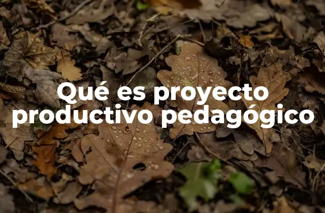 Qué es Proyecto Productivo Pedagógico