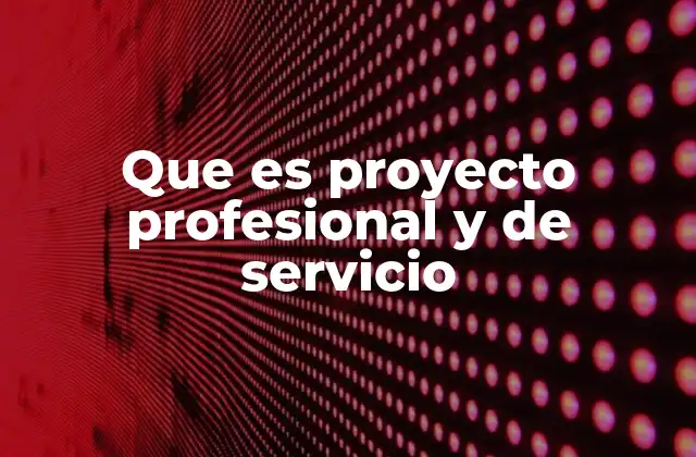 Que es Proyecto Profesional y de Servicio