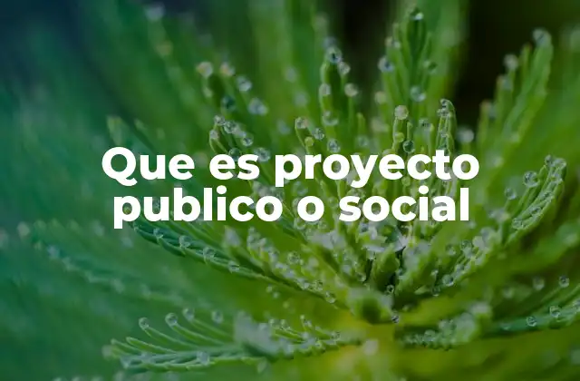 Que es Proyecto Publico o Social