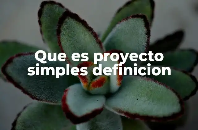 Cómo se define un proyecto sencillo