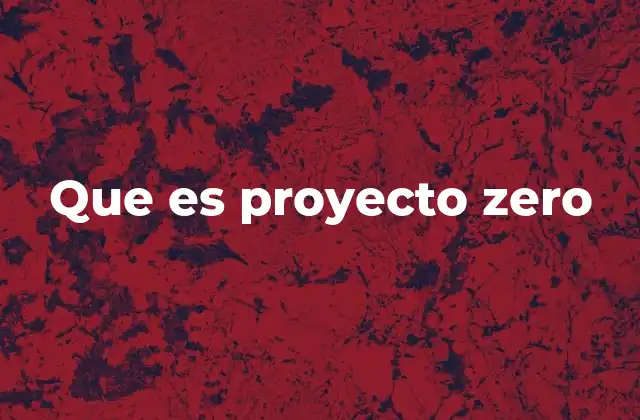 Que es Proyecto Zero
