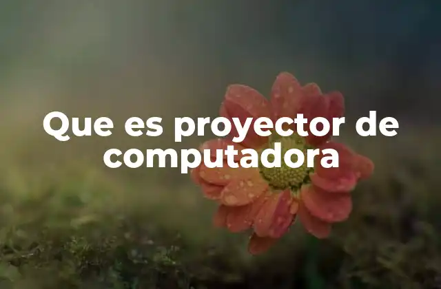 Tipos de proyectores de computadora