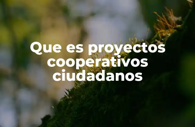 Que es Proyectos Cooperativos Ciudadanos