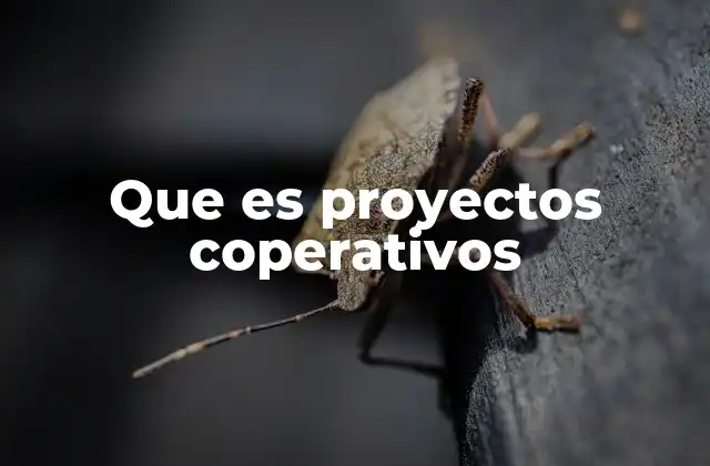 Que es Proyectos Coperativos
