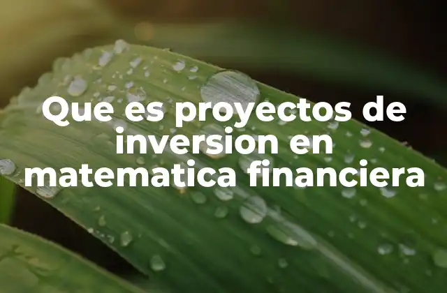 Que es Proyectos de Inversion en Matematica Financiera