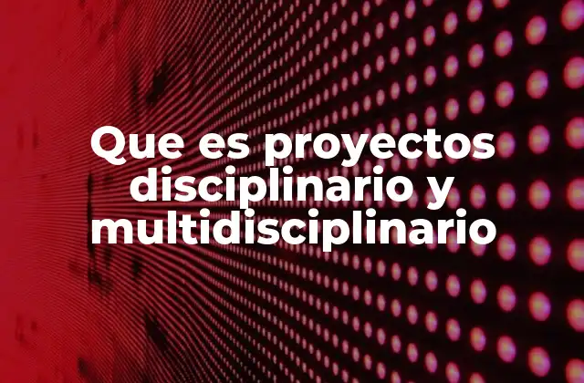 Que es Proyectos Disciplinario y Multidisciplinario