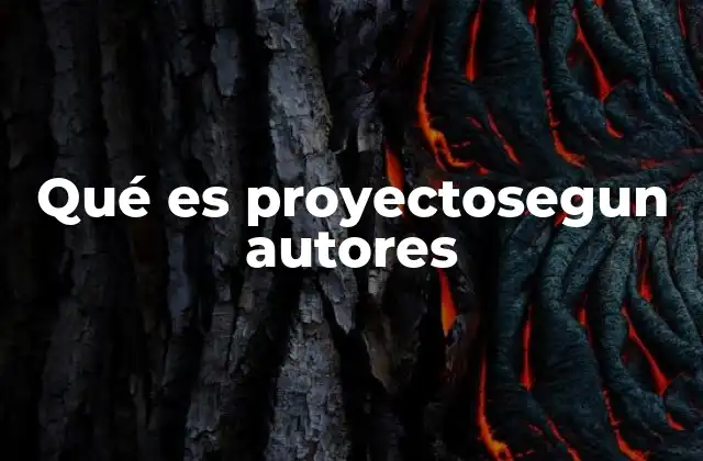 El concepto de proyecto en la gestión moderna