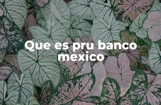 Que es Pru Banco Mexico