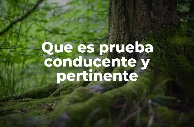 Que es Prueba Conducente y Pertinente