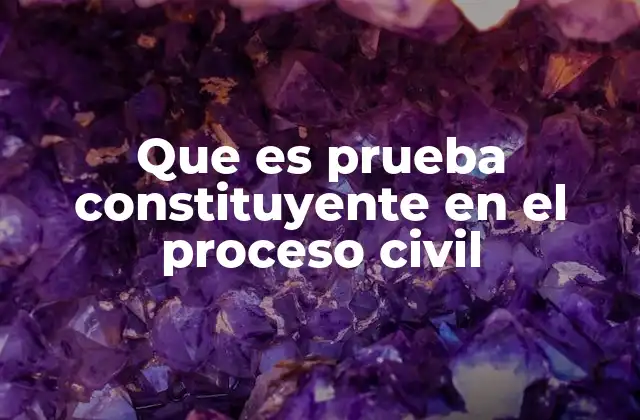 Que es Prueba Constituyente en el Proceso Civil