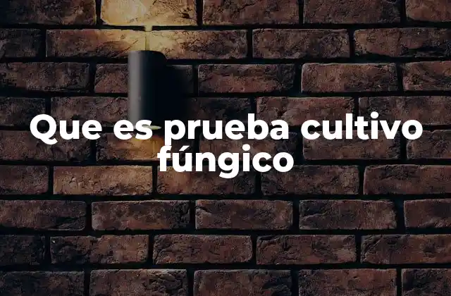 Que es Prueba Cultivo Fúngico