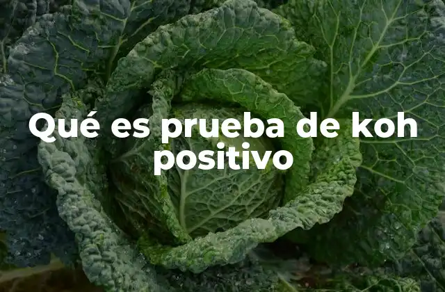 Qué es Prueba de Koh Positivo