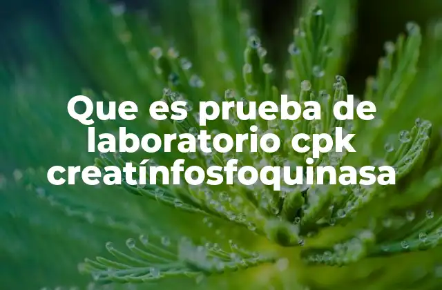 Que es Prueba de Laboratorio Cpk Creatínfosfoquinasa