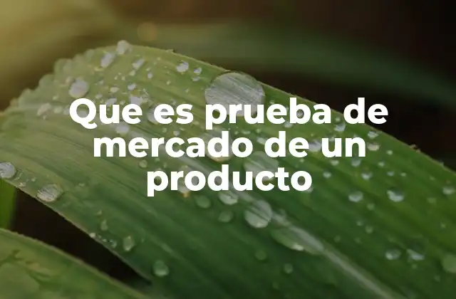 Que es Prueba de Mercado de un Producto