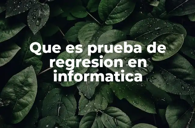 Que es Prueba de Regresion en Informatica
