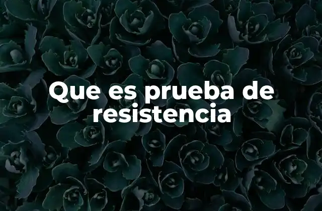 Que es Prueba de Resistencia