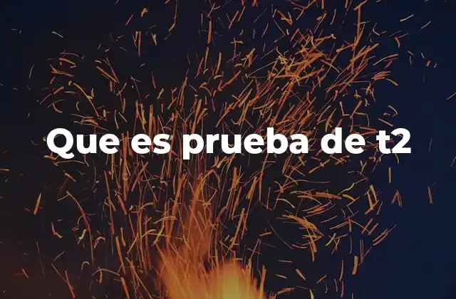 Que es Prueba de T2