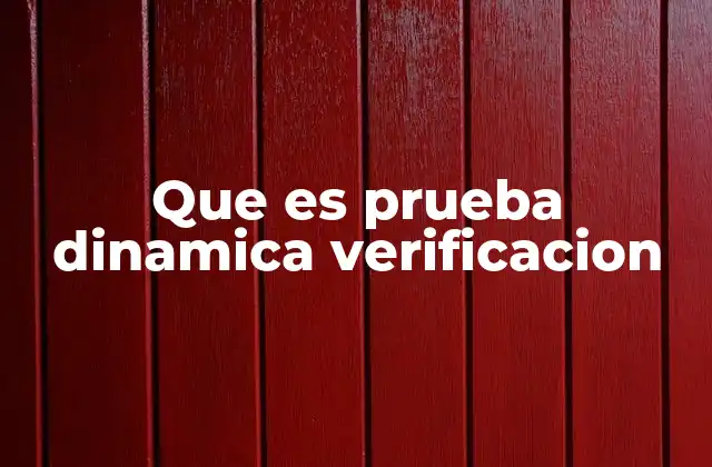Que es Prueba Dinamica Verificacion