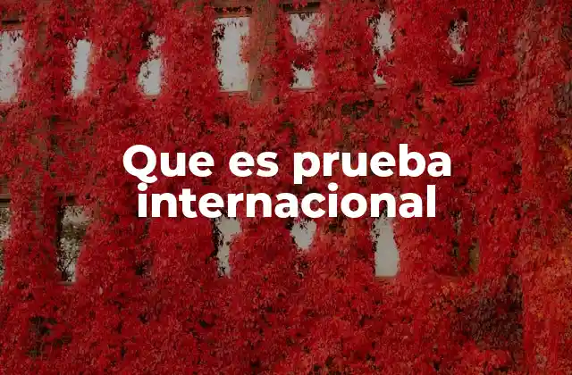 Que es Prueba Internacional 2 Tipos de pruebas internacionales según su finalidad