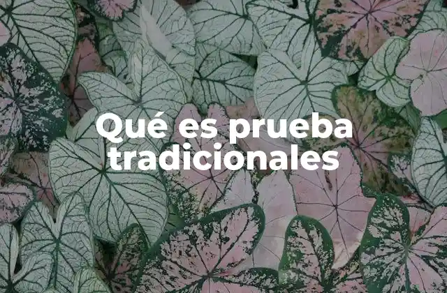 Qué es Prueba Tradicionales