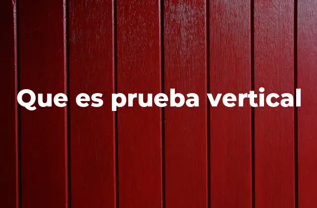 Que es Prueba Vertical