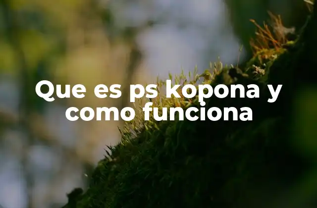 Que es Ps Kopona y como Funciona