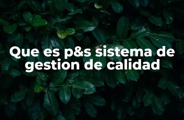 Que es P&s Sistema de Gestion de Calidad