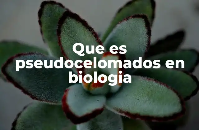 Que es Pseudocelomados en Biologia