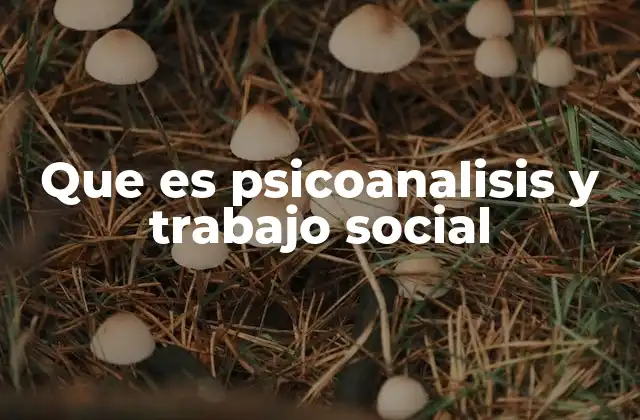Que es Psicoanalisis y Trabajo Social
