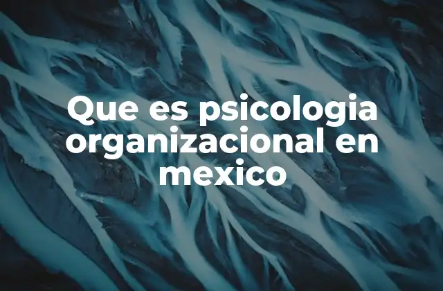 Que es Psicologia Organizacional en Mexico
