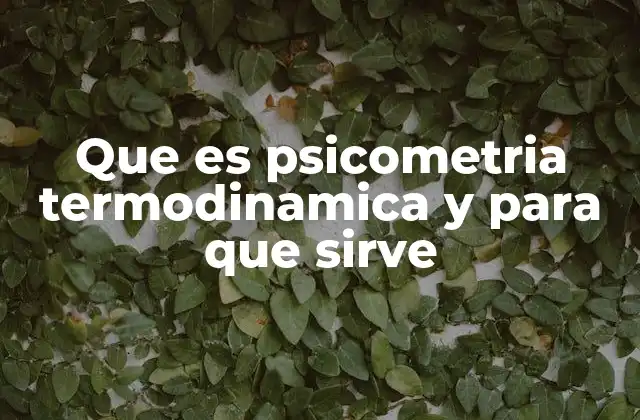 Que es Psicometria Termodinamica y para que Sirve