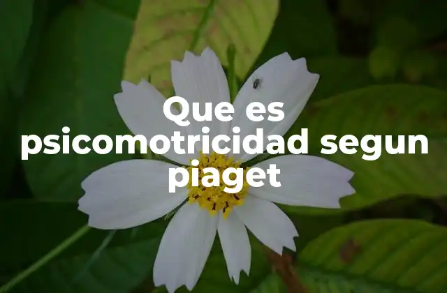 Que es Psicomotricidad Segun Piaget