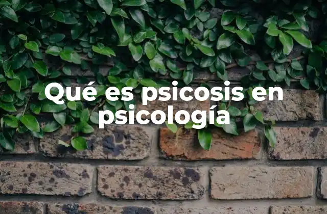Qué es Psicosis en Psicología