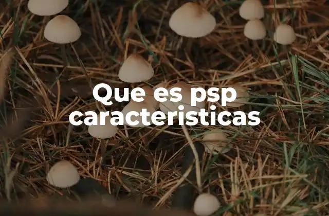 Que es Psp Caracteristicas
