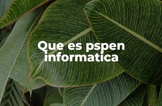 Que es Pspen Informatica